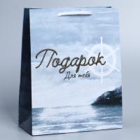 Пакет подарочный бумажный (21х25х8см) ламинир Present for you 1/400 Пакет подарочный бумажный (21х25х8см) ламинир Present for you 1/400