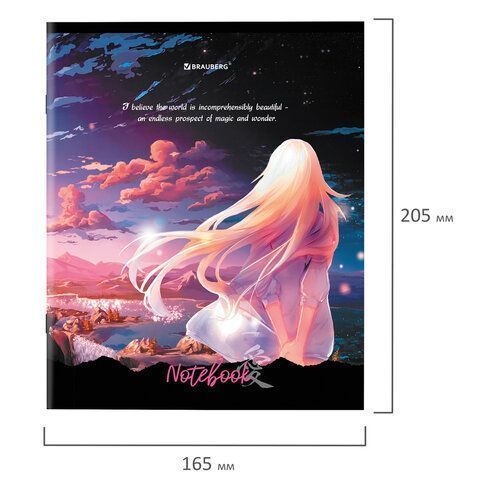 Тетрадь 48л А5 клетка обложка картон BRAUBERG Anime 1/10/100