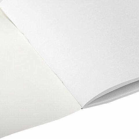 Альбом для рисования 12л А4 на скрепке Пифагор Пикник  1/12/120