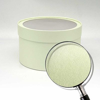 Коробка шайба с прозр. крышкой 21х7,5см свежая мята  Коробка шайба с прозр. крышкой 21х7,5см свежая мята