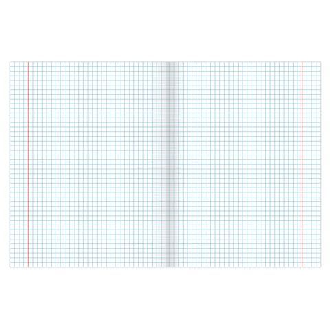 Тетрадь 48л А5 клетка блестки Прекрасные цветы BRAUBERG 10/80