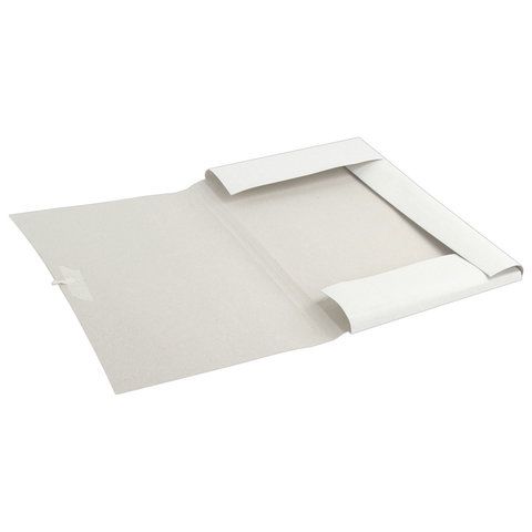 Папка для бумаг на завязках картон BRAUBERG гар пл 300г/кв.м 200л 1/150 Папка для бумаг на завязках картон BRAUBERG гар пл 300г/кв.м 200л 1/150
