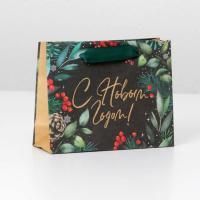 НГ Пакет подарочный крафтовый (15х12x5,5) Волшебный праздник 1/1000